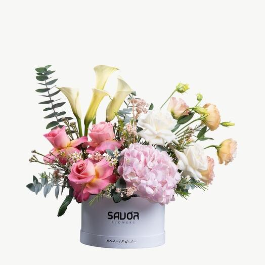 Ivory   Rose Delight