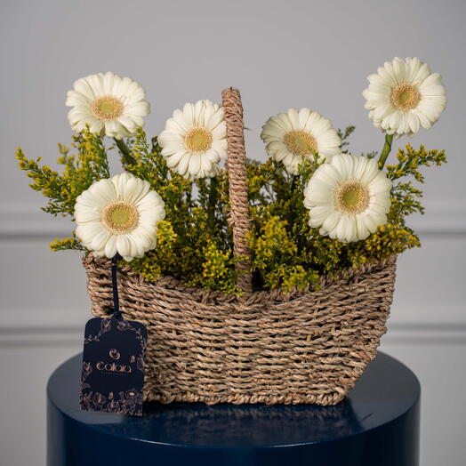 Белое наслаждение