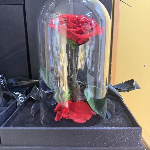 Вечная красная роза