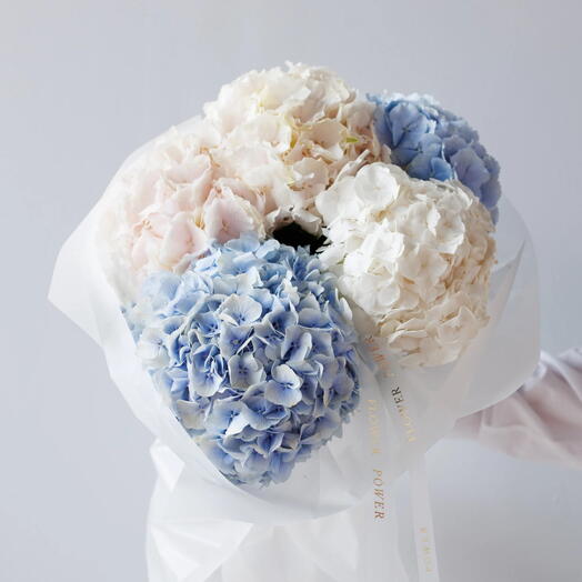 Небо: Букет голубых и белых гортензий