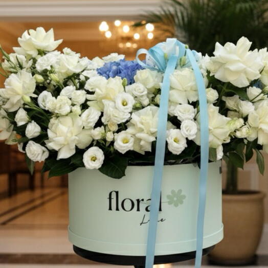 Коробка Lumiere