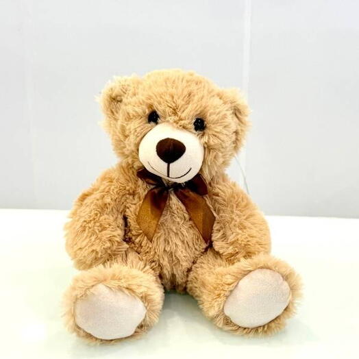 Soft Teddy Bear For Her 30cm