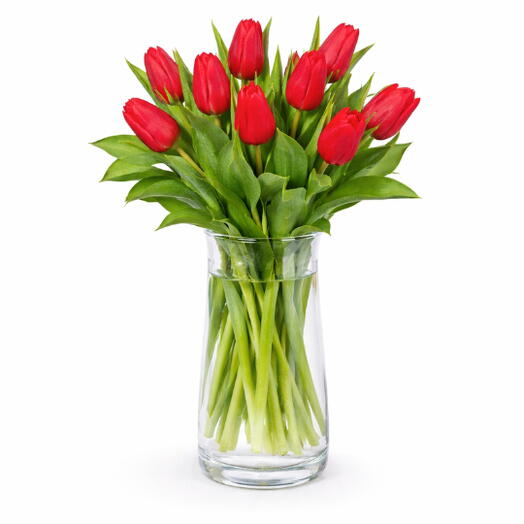 11 Red Tulip Glass Vase