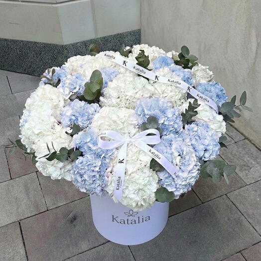 Королевская коробка с гортензиями