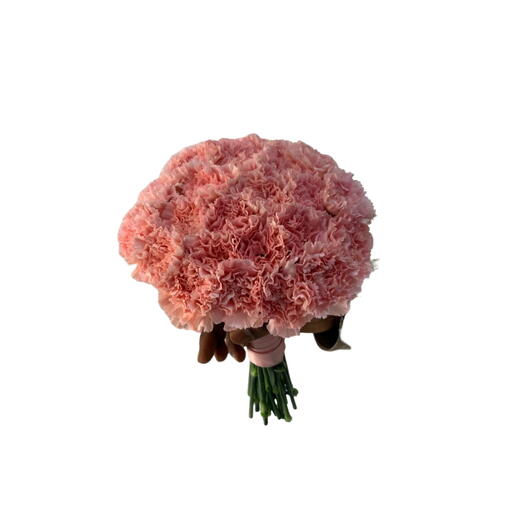 31 Carnation Fresh Gift Bouquet
