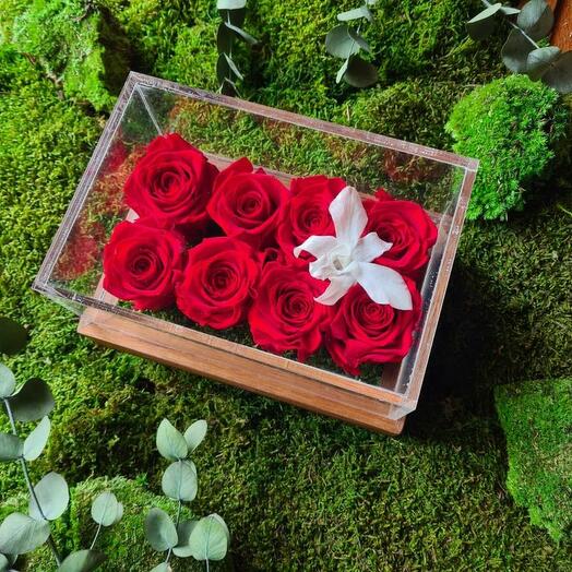 Красный Infinity Ocho