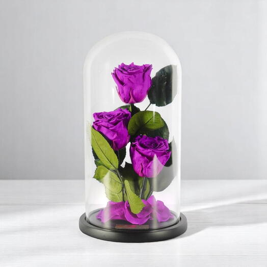Трио стабилизированных роз Мерло в стеклянном куполе