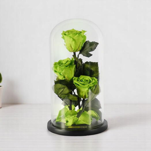Неоново-зелёные стабилизированные розы в трио стеклянных колпаков