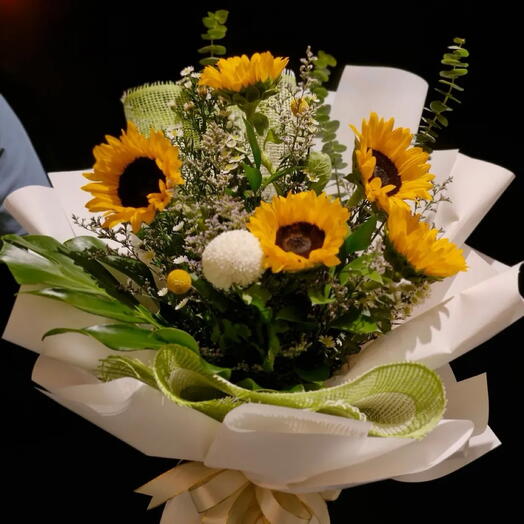 شمس عباد الشمس 🌻 ️