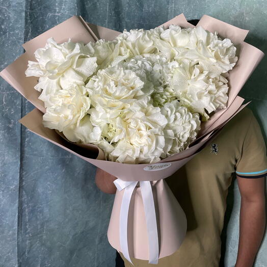 الرمل والثلج