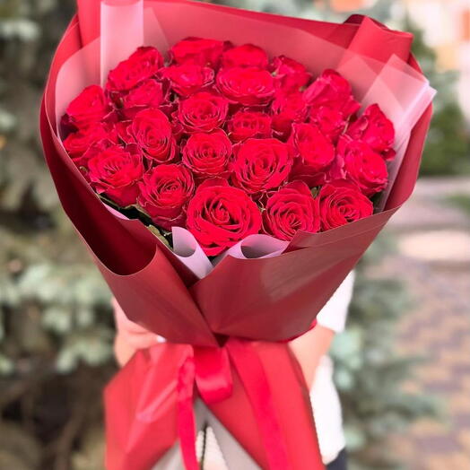 RRED ROSES IN A NICE