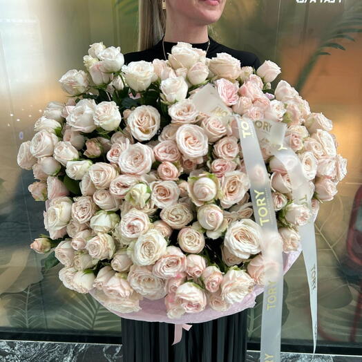 ramo "Elección Real"