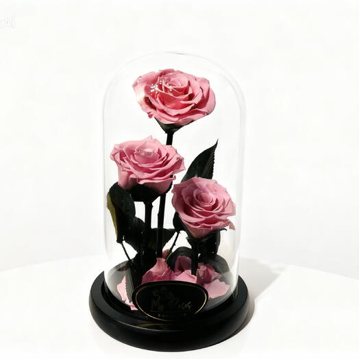 Pink infinity 3 flowers in doomed glass