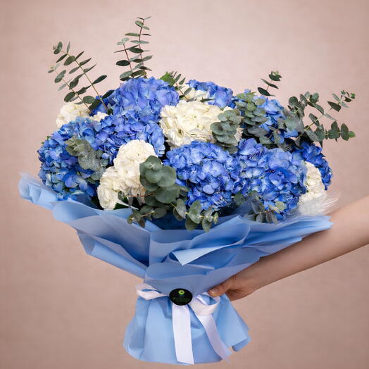 Blue Beauty Hydrangea Green and White