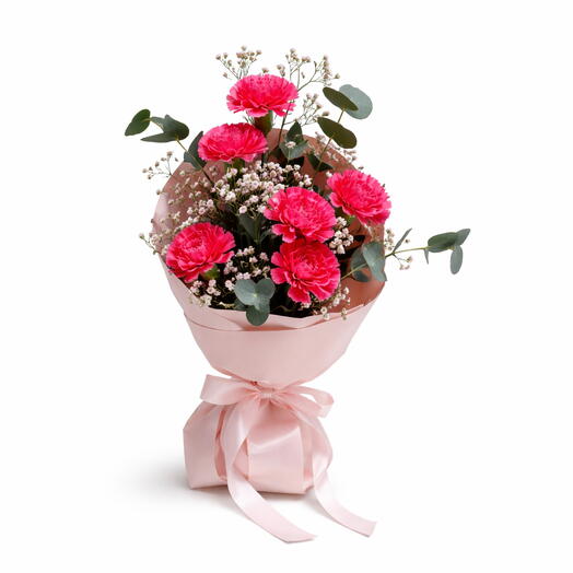 Pink Carnation Magic