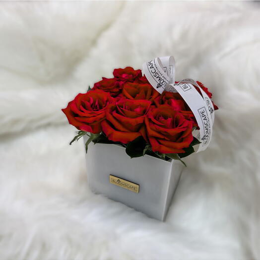 Strawberry mody red mini in acrylic box