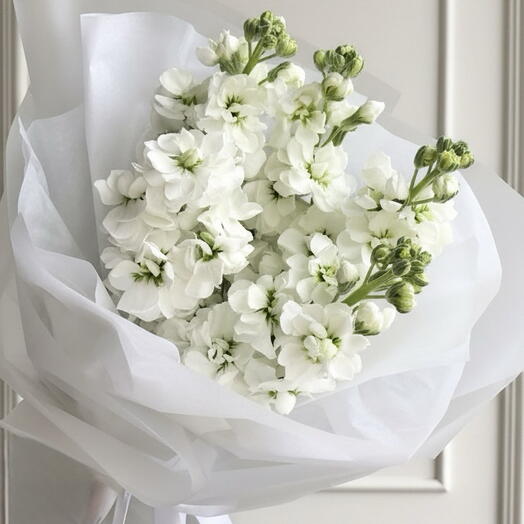 Flowers bouquet with 5 white matthiola