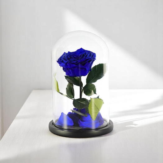 Одиночная стабилизированная роза королевского синего цвета в стеклянном куполе