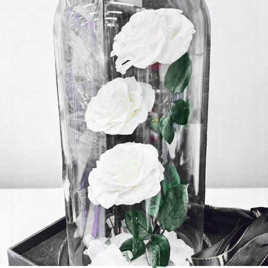 3in1 Forever White Rose in Glass Dome – Eternal Elegance in Pure White