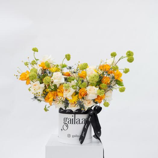 Sunrise in the Garden