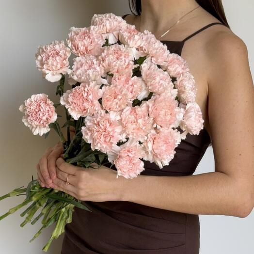 Pink carnation (20 pcs)