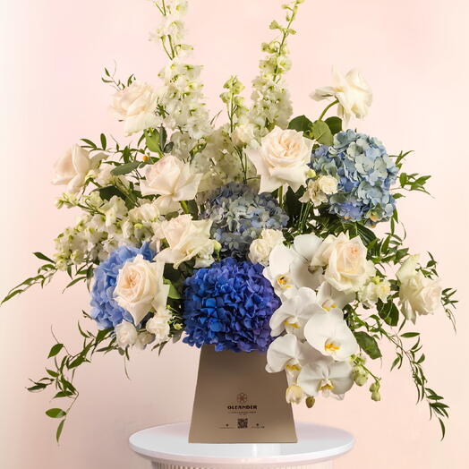 MONSOON FLOWER BOXES