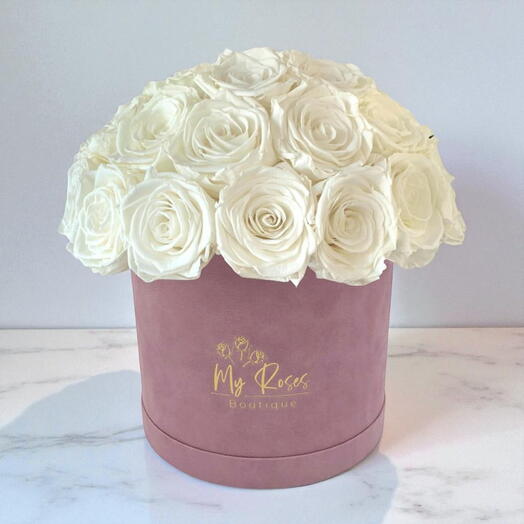 Lilac Velvet Box With 36 white Roses