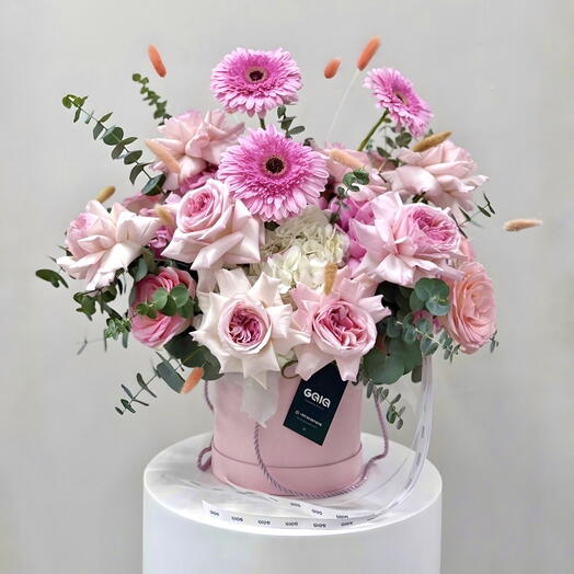 Pink Gerbera Ohara Rose Bloom Box