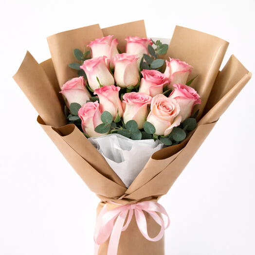 11 Pink Revival Roses – Sweet Whisper