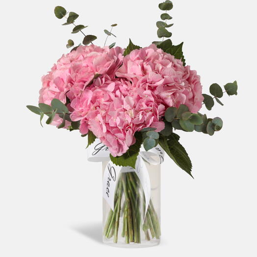 Розовая гортензия в вазе