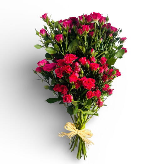 Розовый Красивый