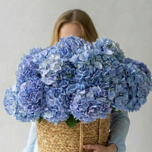 Hydrangeas Lake in basket