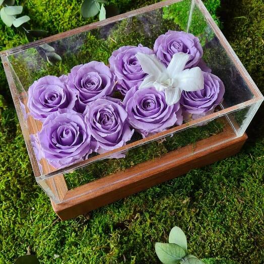 Фиолетовая Бесконечность Восемь