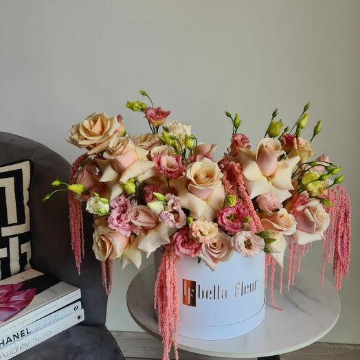 Alta - Большой