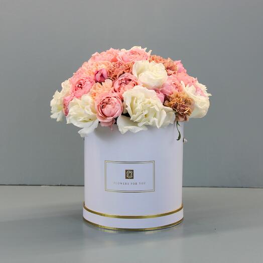 Julietta Carnation Box 1244