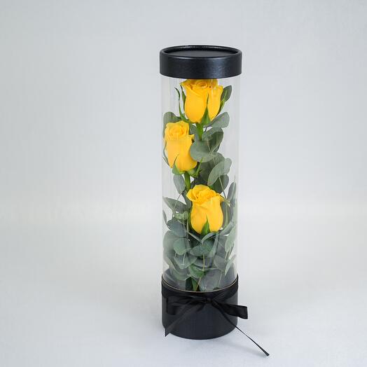 Ярко-жёлтая роза Fuse-5483