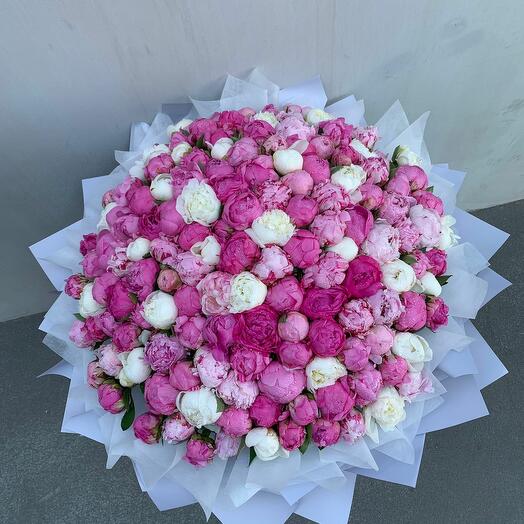 Bouquet of 101 Peony Bliss