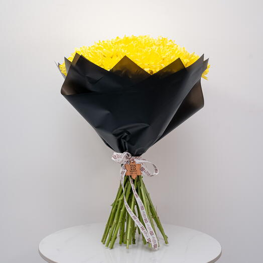 Сорок солнц