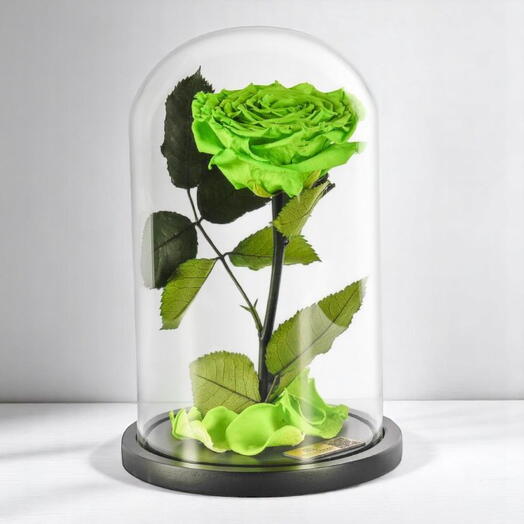 Одиночная флуоресцентная зелёная стабилизированная роза в стеклянном куполе