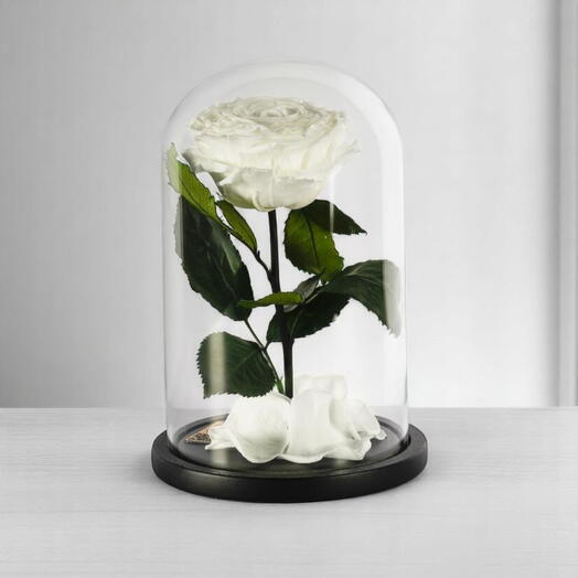 Белые стабилизированные розы в стеклянном куполе