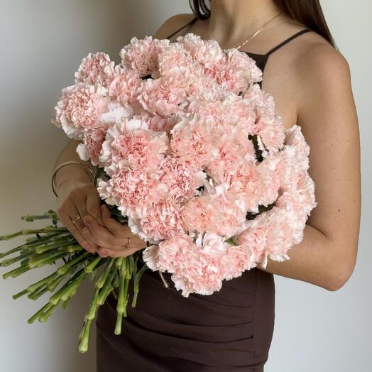 Pink carnation (40 pcs)