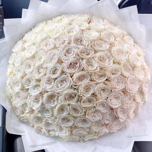 200 White Roses