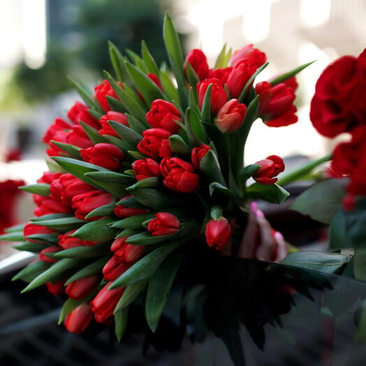 Careful Touch: Bouquet of 50 Red Tulips