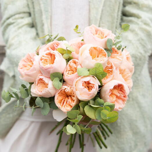 Première Danse: Petit bouquet de 24 roses de jardin pêche douce