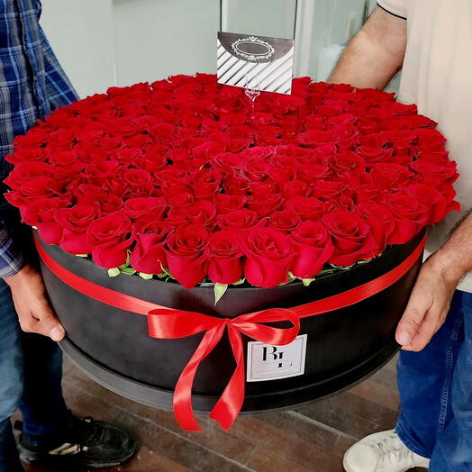 251 Red Roses Box