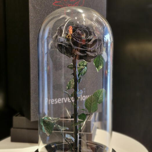 GLASS DOME- ETERNAL ROSES | Black ( LARGE)