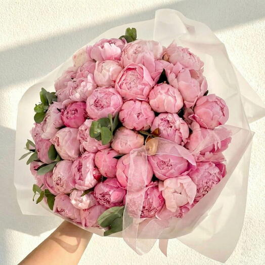 Rose pivoine géante
