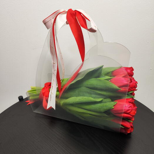 RBR Scarlet Red tulip