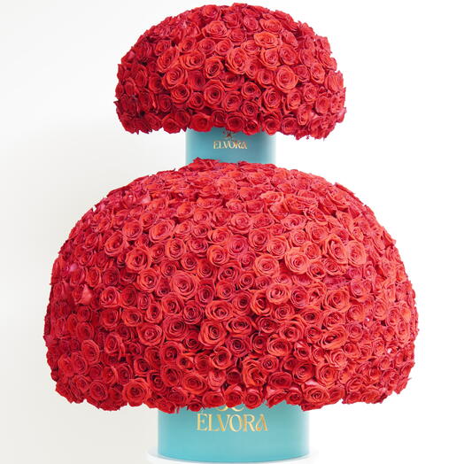 1000 красных роз бордовый апекс купол