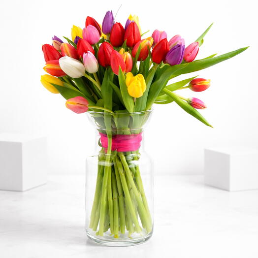 Colorful 31 tulips in a glass vase
